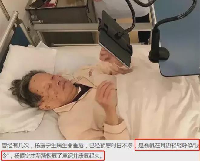 杨振宁翁赢博体育官网入口帆回北京过年清华别墅内受访婚纱照瞩目院内种满玫瑰(图11)