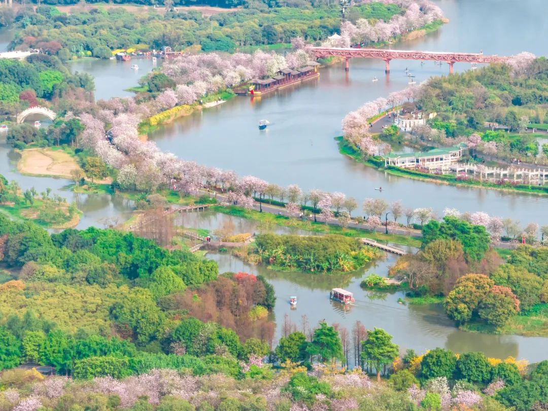 赢博体育官网入口：赢博体育app：广东首个！“婚纱街”将焕新！海珠区发布婚庆产业行动方案(图9)